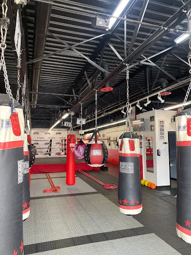Ced’s Boxing Academy