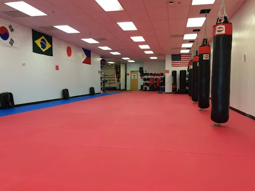 Certain Victory Martial Arts & Fitness
