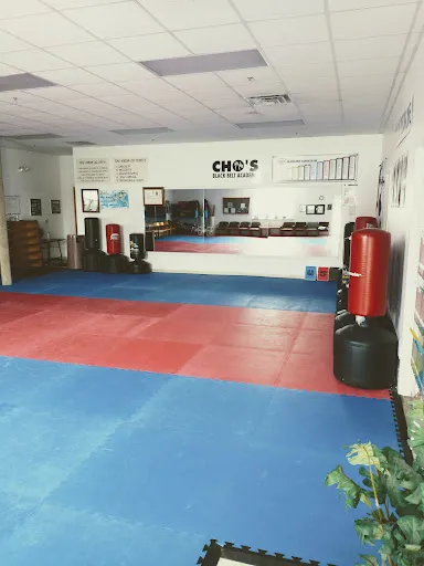 Cho's Black Belt Academy