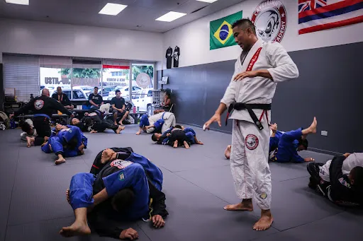 CJJF Central
