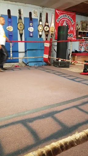 Damon Bahe boxing gym