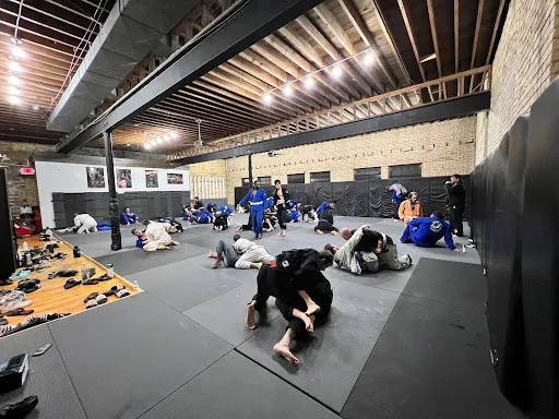 Daniel Gracie Grand Rapids