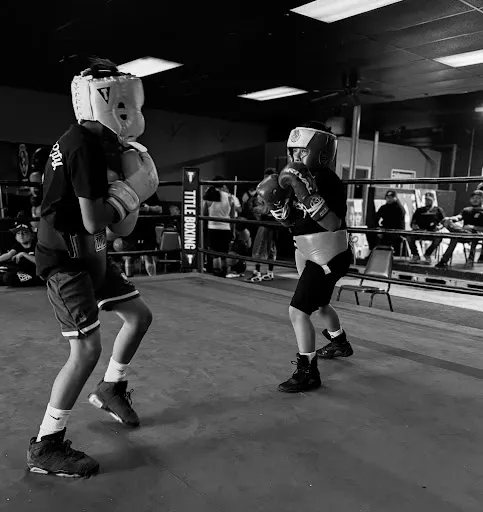Dino City Boxing Academy
