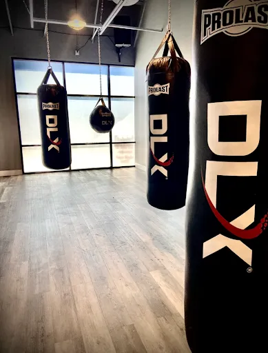 DLX Boxing
