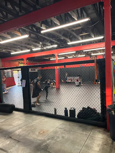 Dog Pound MMA & Fitness