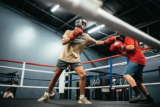 Donnybrook Boxing Club