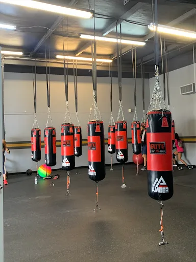 EADO Boxing Club