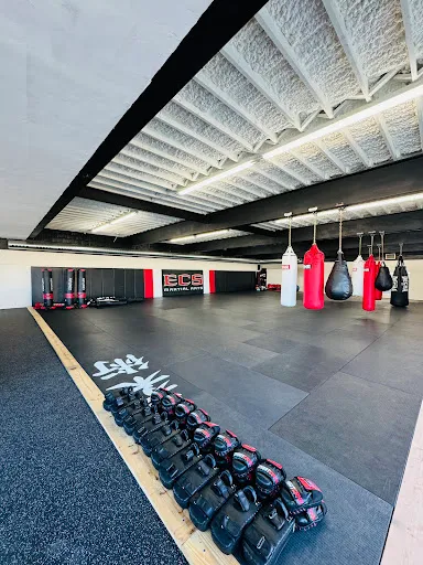 ECS Martial Arts