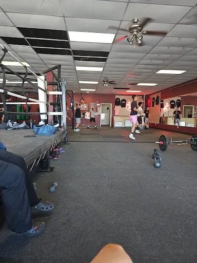 Elite Boxing and Fitness