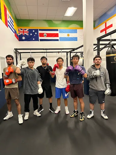 Elite Boxing
