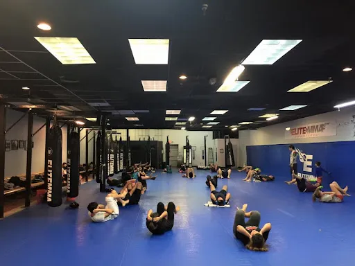 Elite Mixed Martial Arts - Baytown