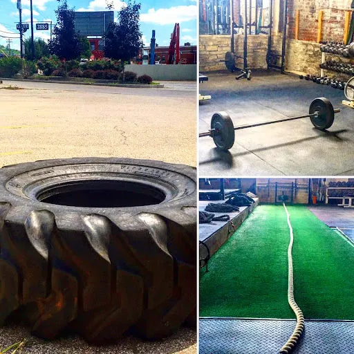 Elite Training and Wellness