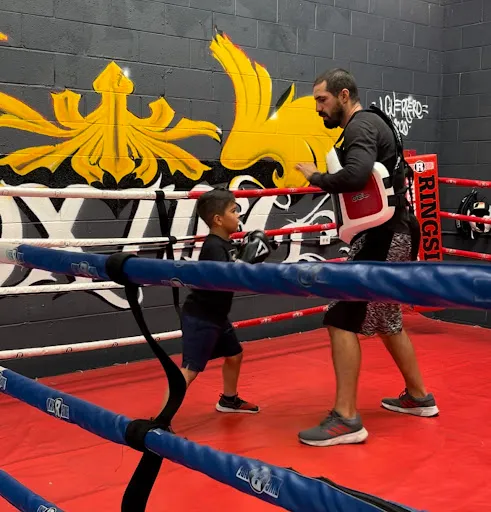 Elusive Boxing