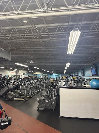 Ever Fitness