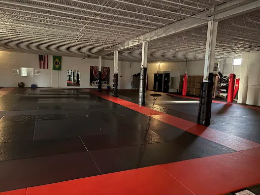Fenix Jiu Jitsu MMA