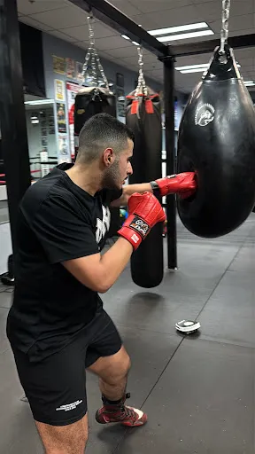 Fight Cartel Boxing