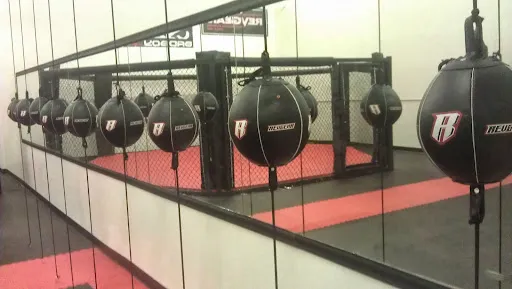 Fight Team LLC