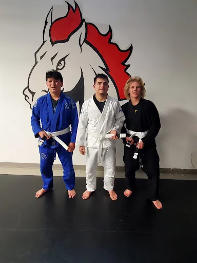 Flatland Fitness & MMA
