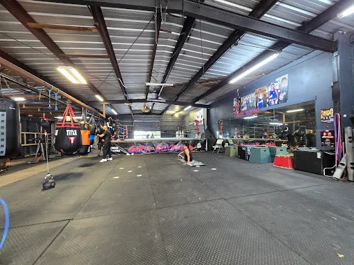Gator Boxing