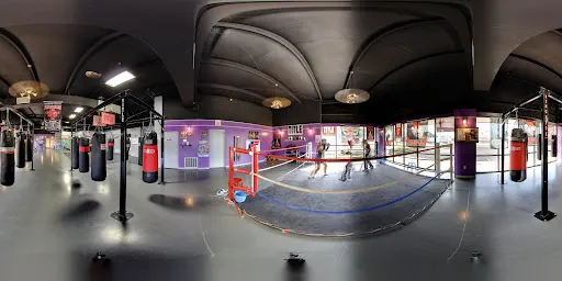Gillespie Boxing