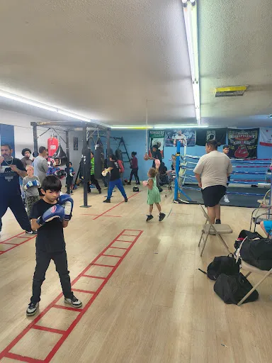 GLOVES UP BOXING CLUB