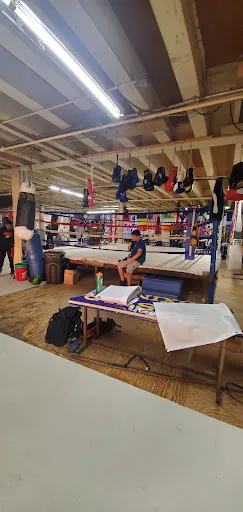 Gold Star Boxing