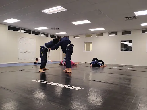 Ground Zero Roaring Fork Valley BJJ