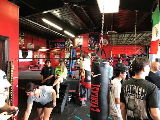 Hagler Boxing Club