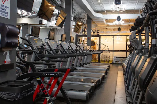 Harbor Fitness Park Slope