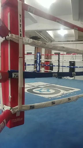 Hernandez Boxing Academy, Inc.