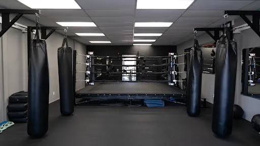 High Level Boxing & Fitness
