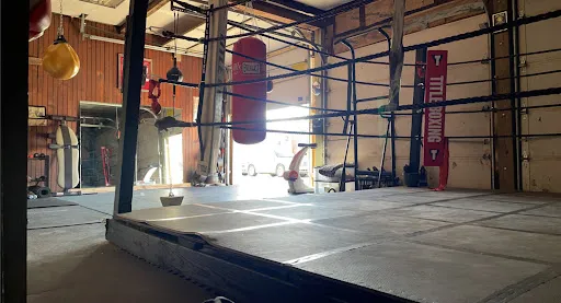 Hit hard Boxing