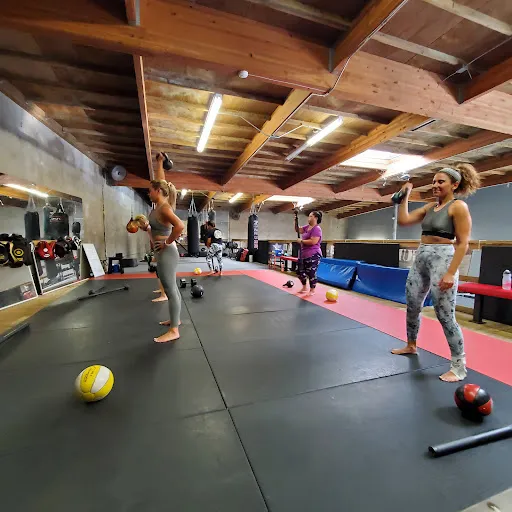 Horizon Muay Thai Training Systems