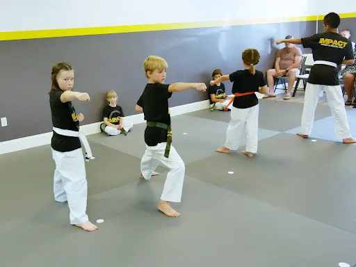 Impact Fitness & Martial Arts