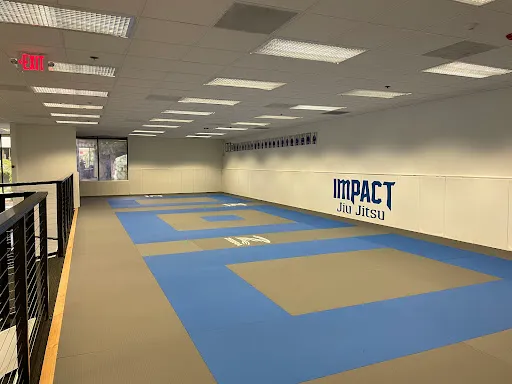 Impact Jiu Jitsu