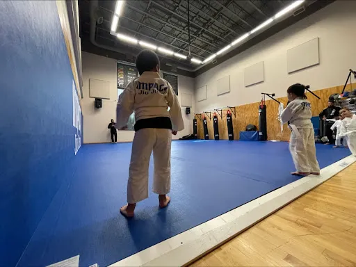 Impact Jiu Jitsu