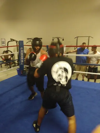 Katy Boxing Club