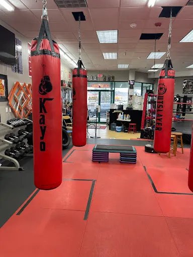 Kayo Boxing