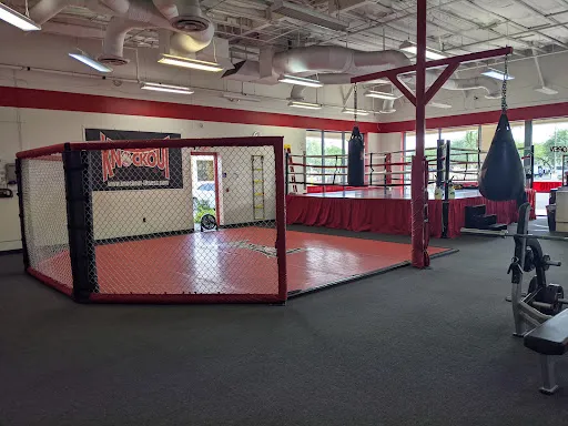 Knockout Fitness