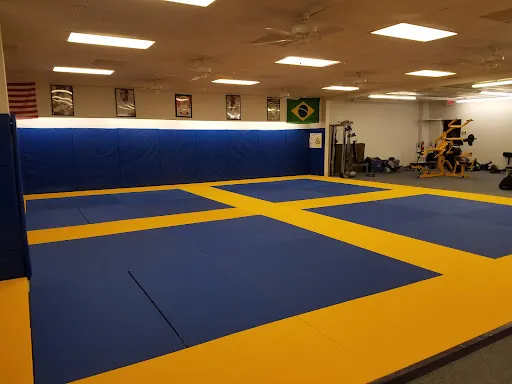 Lake Area Gracie Jiu-jitsu