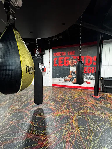Lightning Quick Hands Training (Boxing Training)
