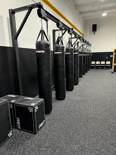 Lionheart Boxing