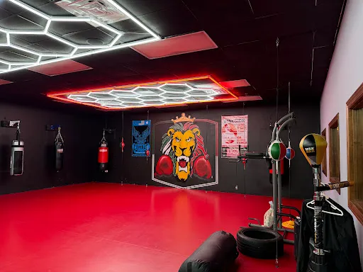 Lion's Boxing Club
