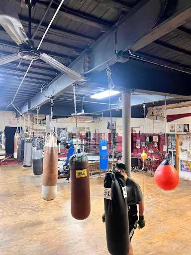 Little Mac Boxing Gym