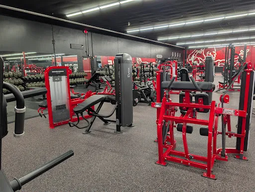 Los Campeones Gym Round Rock