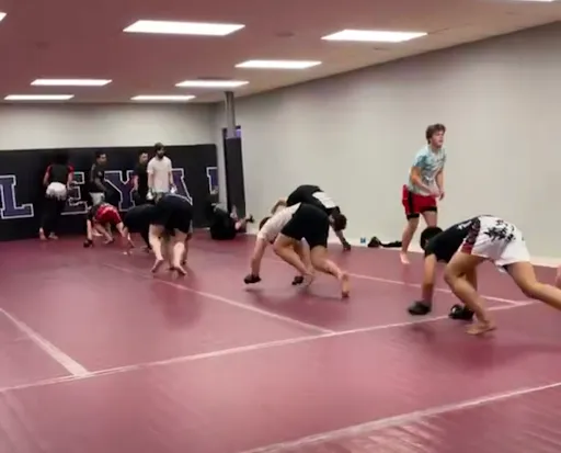 Ludus Combat Sports