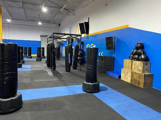 MA Fitness Kickboxing - St Pete