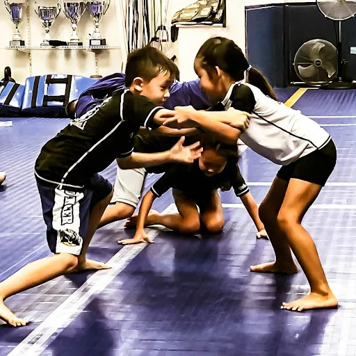 Mad Tiger Academy