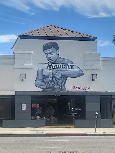 Madcity Boxing
