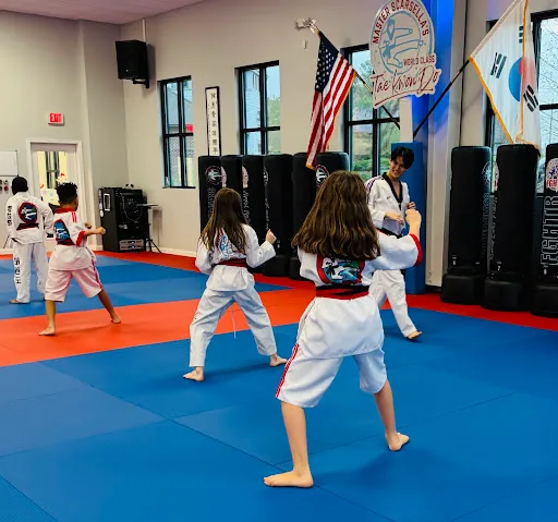 Master Scarsella’s World Class Tae Kwon Do